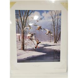 "WINTER WONDER MALLARDS" LTD ED #410/2500 SIGNED