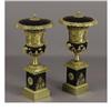 Image 1 : A Pair of Russian Patinated and Gilt Bronze Urns 