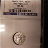 Image 1 : 2008 W $10 Platinum Eagle