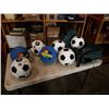 Image 1 : BAG OF SOCCER BALLS