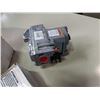 Image 3 : Dual valve gas control uinit and transforner