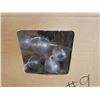 Image 3 : IKEA KALLT INDOOR OUTDOOR LIGHT