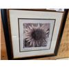 Image 2 : PAIR OF FLOWER PRINTS