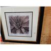 Image 3 : PAIR OF FLOWER PRINTS