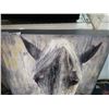 Image 2 : HORSE PAINTING ON CANVAS