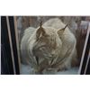 Image 2 : DOZING LYNX BY ROBERT BATEMAN 25325