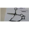 Image 2 : 2 PAIRS STAINLESS BARBER HAIRDRESSER SCISSORS