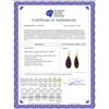 Image 2 : Genuine 40 ctw Ruby Earrings 14KT Yellow Gold - REF-107F3Z