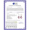 Image 2 : Genuine 21.68 ctw Amethyst & Diamond Earrings 14KT White Gold - REF-61N3R