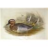 Image 2 : A GROUP OF FOUR FRAMED DUCK PRINTS