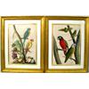 Image 1 : TWO FRAMED WATERCOLORS