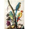 Image 2 : TWO FRAMED WATERCOLORS