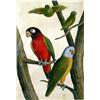 Image 3 : TWO FRAMED WATERCOLORS