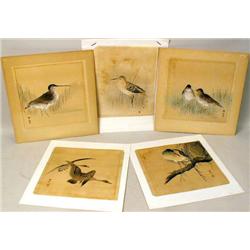 FIVE MIXED MEDIA IMAGES OF BIRDS