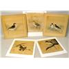Image 1 : FIVE MIXED MEDIA IMAGES OF BIRDS
