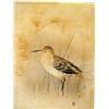 Image 3 : FIVE MIXED MEDIA IMAGES OF BIRDS