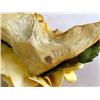 Image 3 : A CYBIS HAND PAINTED YELLOW ROSE