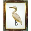 Image 1 : A FRAMED PRINT OF A HERON DECOY