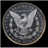 Image 3 : ***Auction Highlight*** 1884-o Morgan Dollar $1 Graded GEM+ DMPL By USCG (fc)