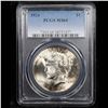 Image 2 : PCGS 1924-p Peace Dollar $1 Graded ms64 By PCGS