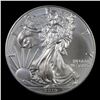 Image 2 : 2019 Silver Eagle Dollar $1 Grades Mint State