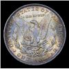 Image 3 : 1884-p Rainbow Toned Morgan Dollar $1 Grades Choice Unc