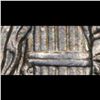 Image 4 : 1917-p Mercury Dime 10c Grades Select Unc FSB