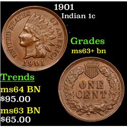 1901 Indian Cent 1c Grades Select+ Unc BN