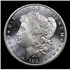 Image 2 : ***Auction Highlight*** 1884/18-cc Vam 6 R5 Morgan Dollar $1 Graded Choice Unc DMPL By USCG (fc)