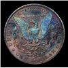 Image 3 : ***Auction Highlight*** 1892-cc Rainbow Toned Morgan Dollar $1 Graded Select Unc+ PL By USCG (fc)