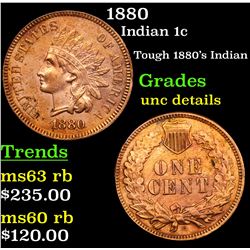 1880 Indian Cent 1c Grades Unc Details