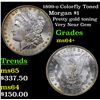Image 1 : 1899-o Colorfly Toned Morgan Dollar $1 Grades Choice+ Unc
