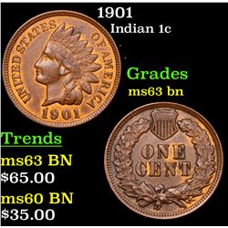 1901 Indian Cent 1c Grades Select Unc BN