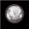Image 2 : ***Auction Highlight*** 1879 & CC DMPL Ends Uncirculated Morgan Dollar Shotgun Roll Grades (fc)