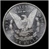 Image 3 : ***Auction Highlight*** 1879-s Morgan Dollar $1 Graded Choice Unc+ DMPL BY USCG (fc)