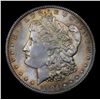 Image 2 : 1904-o Vam 32 I3 R5 Morgan Dollar $1 Grades GEM+ Unc