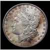 Image 2 : 1885-o Colorfully Toned Morgan Dollar $1 Grades Choice Unc