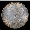 Image 2 : 1886-p Colorfully Toned Morgan Dollar $1 Grades Choice+ Unc