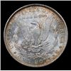 Image 3 : 1886-p Colorfully Toned Vam 6B R5 Morgan Dollar $1 Grades Choice Unc