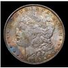 Image 2 : 1886-p Colorfully Toned Morgan Dollar $1 Grades Choice Unc