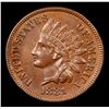 Image 2 : 1881 Indian Cent 1c Grades Select Unc BN