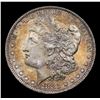 Image 2 : ***Auction Highlight*** 1883-o Colorfully Toned Morgan Dollar $1 Graded GEM+ Unc By USCG (fc)