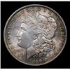 Image 2 : 1889-p Rainbow Toned Morgan Dollar $1 Grades Choice Unc