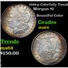 Image 1 : 1889-p Colorfully Toned Morgan Dollar $1 Grades Choice Unc