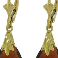 Genuine 6 ctw Garnet Earrings 14KT Yellow Gold - REF-27W8Y