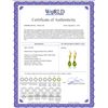 Image 2 : Genuine 3 ctw Peridot Earrings 14KT Yellow Gold - REF-29V2W