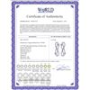 Image 2 : 0.19 CTW Diamond Earrings 14K White Gold - REF-22Y9X