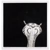 Arun Bose S/N Etching, Cobra, 1969 #1137962