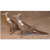Silver PHEASANT Shakers VIKING Silverplate S&P #1160167