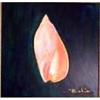 Image 1 : Painting of shell in oil by "Bahia" #1160632